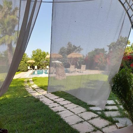 Leone Luxury Villas Kalamákion Buitenkant foto